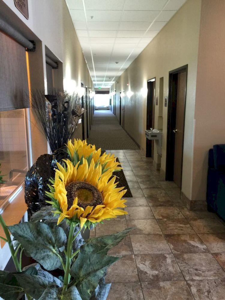 Comfort Inn & Suites Pittsburg Kültér fotó